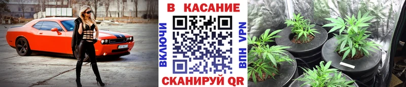 Какие есть наркотики Полярные Зори ГАШ  Альфа ПВП  КЕТАМИН  Галлюциногенные грибы  Канабис  АМФЕТАМИН  Меф 