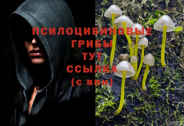 скорость Осинники